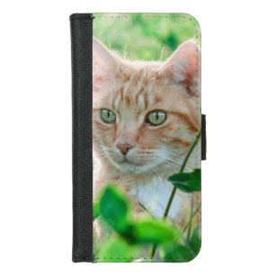 Ginger Kat met groene ogen in gras iPhone 8/7 Portemonnee Hoesje