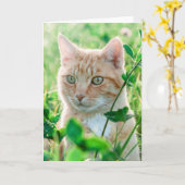 Ginger Kat met groene ogen in gras Kaart (Gele Bloem)