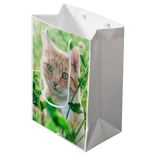 Ginger Kat met groene ogen in gras Medium Cadeauzakje (Voorkant Gekanteld)