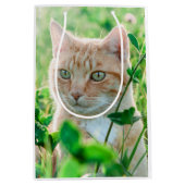 Ginger Kat met groene ogen in gras Medium Cadeauzakje (Voorkant)