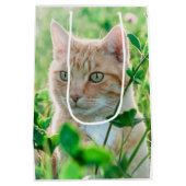 Ginger Kat met groene ogen in gras Medium Cadeauzakje (Achterkant)