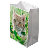 Ginger Kat met groene ogen in gras Medium Cadeauzakje (Achterkant Gekanteld)