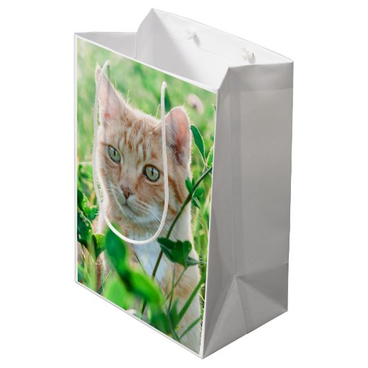 Ginger Kat met groene ogen in gras Medium Cadeauzakje (Achterkant Gekanteld)