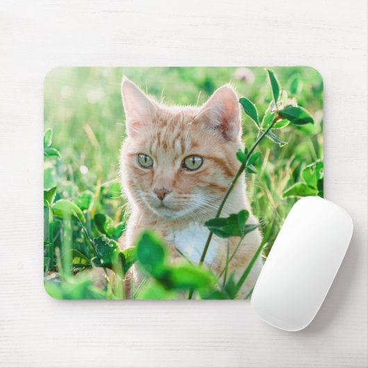 Ginger Kat met groene ogen in gras Muismat (Met muis)