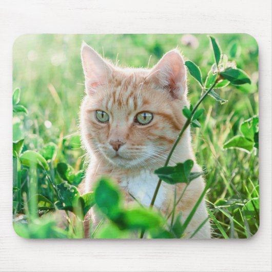 Ginger Kat met groene ogen in gras Muismat (Voorkant)