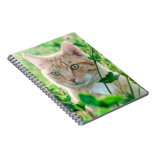 Ginger Kat met groene ogen in gras Notitieboek (Rechterzijde)