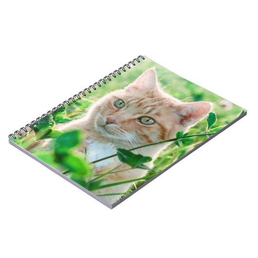 Ginger Kat met groene ogen in gras Notitieboek (Linkerzijde)