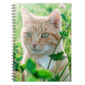 Ginger Kat met groene ogen in gras Notitieboek (Voorkant)