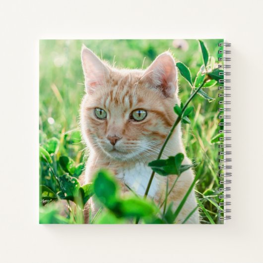 Ginger Kat met groene ogen in gras Notitieboek (Achterkant)