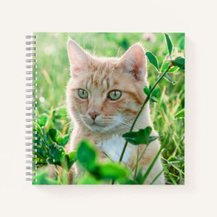 Ginger Kat met groene ogen in gras Notitieboek