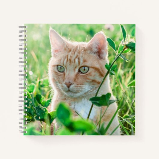 Ginger Kat met groene ogen in gras Notitieboek (Voorkant)