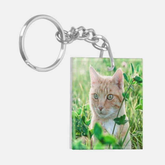 Ginger Kat met groene ogen in gras Sleutelhanger (Voorkant Links)