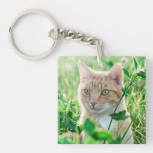 Ginger Kat met groene ogen in gras Sleutelhanger