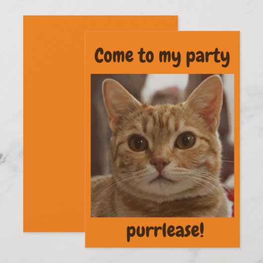 Ginger kattenbruine ogen partij sinaasappel kaart (Voorkant / Achterkant)