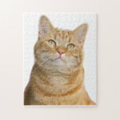 Ginger kattengroene ogen puzzel legpuzzel (Verticaal)