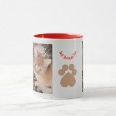 Ginger kitten 2 photos, best therapist,  mok (Midden)