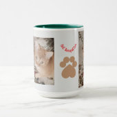 Ginger kitten 2 photos, best therapist,  mok (Midden)