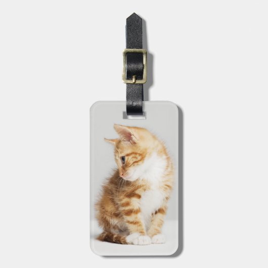 Ginger Kitten Bagagelabel (Voorkant verticaal)