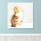 Ginger Kitten Canvas Afdruk (Insitu (Houten vloer))