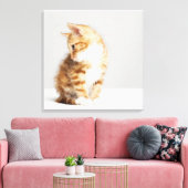 Ginger Kitten Canvas Afdruk (Insitu (Woonkamer))