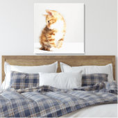 Ginger Kitten Canvas Afdruk (Insitu (Slaapkamer))