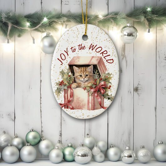 Ginger Kitten Geschenkdoos Vreugde aan de Wereld V Keramisch Ornament