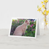 Ginger Kitten in Bloemen Kaart (Gele Bloem)