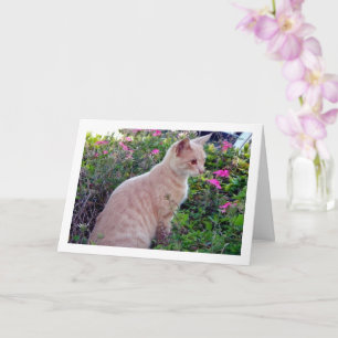 Ginger Kitten in Bloemen Kaart
