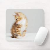 Ginger Kitten Muismat (Met muis)