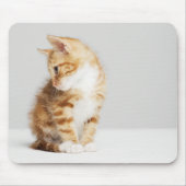 Ginger Kitten Muismat (Voorkant)