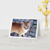 Ginger Kitten Portret Kaart (Gele Bloem)