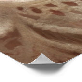 Ginger Kitten Slapen (Shabby Chic) Poster (Hoek)