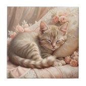 Ginger Kitten Slapen (Shabby Chic) Tegeltje (Voorkant)