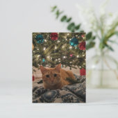 Ginger Kitty Onder de Kerstboom Briefkaart (Staand voorkant)