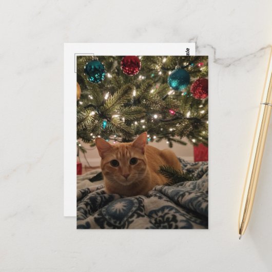 Ginger Kitty Onder de Kerstboom Briefkaart (Voorkant / Achterkant in situ)