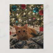 Ginger Kitty Onder de Kerstboom Briefkaart (Voorkant)