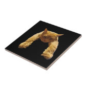 Ginger Lazy Cat, keramische tegel Tegeltje (Zijkant)
