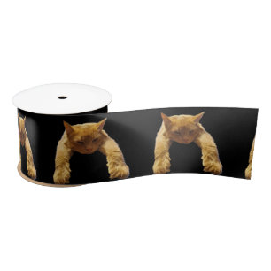 Ginger Lazy Cat, Satin Ribbon Satijnen Lint