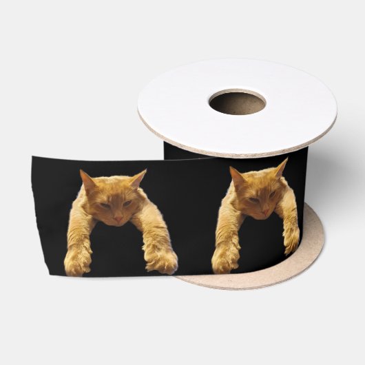 Ginger Lazy Cat, Satin Ribbon Satijnen Lint (Spoel)