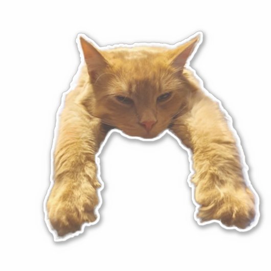 Ginger Lazy Cat, Sticker (Voorkant)