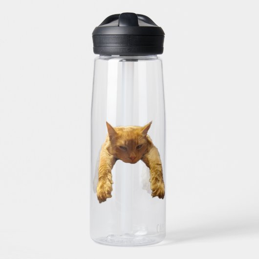 Ginger Lazy Cat, waterfles (Voorkant)