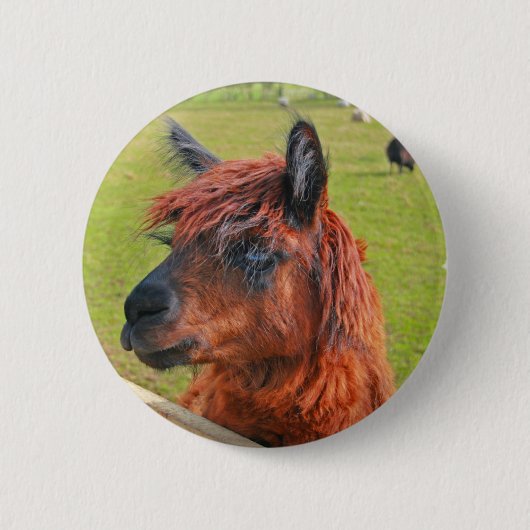 Ginger Llama Ronde Button 5,7 Cm (Voorkant)