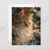 Ginger Maine Coon Christmas Briefkaart (Voorkant / Achterkant)
