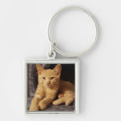 Ginger Oranje Sleutelhanger met tablet (Voorkant)