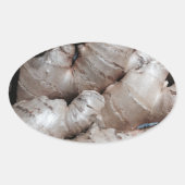 Ginger Ovale Sticker (Voorkant)