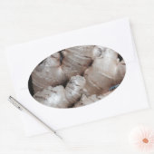 Ginger Ovale Sticker (Envelop)