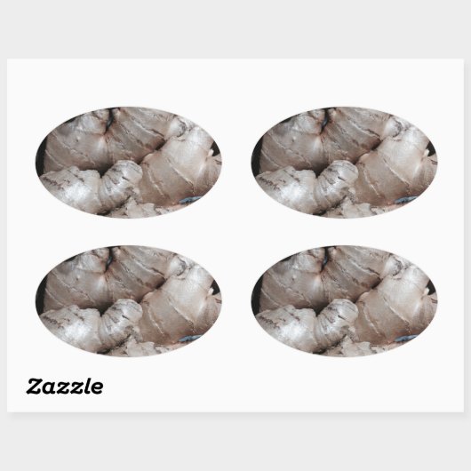 Ginger Ovale Sticker (Vel)