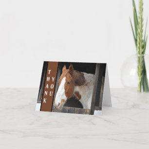 Ginger Paard op Boerderij Dierenvriend Bedankkaart