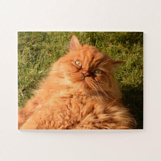 GINGER PERSIAN CAT JIGSAW PUZZZLE LEGPUZZEL (Horizontaal)