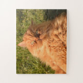 GINGER PERSIAN CAT JIGSAW PUZZZLE LEGPUZZEL (Verticaal)